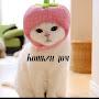 @Meow_kot592