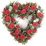 @reniakarveli4479