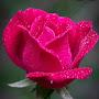 @mishra5424