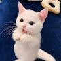 @Gneusyvjdnfbsucj