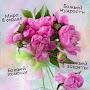 @Nadejda1103