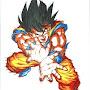 @kamehameha90