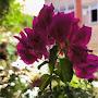@mostafayunus7921