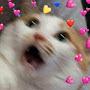 @__enap