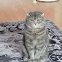 @Natalia-fe8it