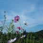 @모두다행복-s4i