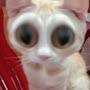 @VronssgjbcttxblgszcnnnvcHh-u6p