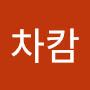 @정차캄