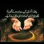 @sabanazir9844