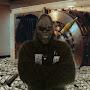 @TheLoneSasquatch