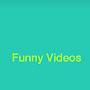 Funny Videos