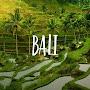 Yoga Bali