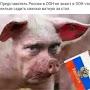 @timurudalov9220