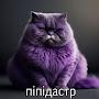 @faren__5166