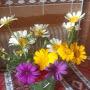 @xuramanpawayeva9139