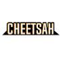 Cheetsah