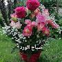@user-fm7su4uj2m