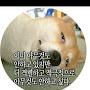 @김종섭-o2r