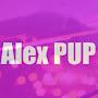 @alexpup4164