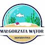 @MagorzataWator