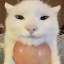 @Unknown-cat526