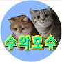 @수와호수