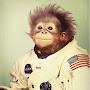 @thirdmonkey