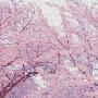 @내인생브라보