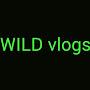 @wildvlogs5720