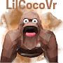 @LittleCocoVR
