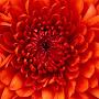 @piotrufniarski4012