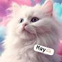 @polly-meow