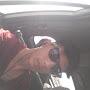 @amirhosseinamirimoghadam7242