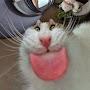 @ermmmmwhatt