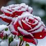 @ЭрикаАндреева-я6г