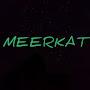 @meerkat9357
