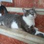 @Julian_AndresC.C