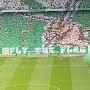 @tmc_coybig