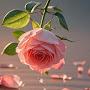 @asya1973