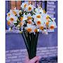 @gular.4516