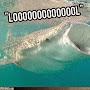 @Derivedwhale45