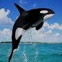 @MARADONA13679