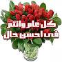 @halimaessarhami1011