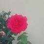 @stacey-annh1592