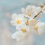 @Babu1980-5w