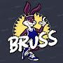 BRUSS