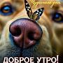 @ВладиславПлатов-у6ф