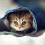 @didar8054