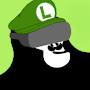 @LUIGI-VR-12