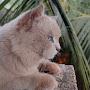 @shreyashgore9910